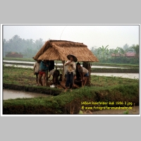 14564 Reisfelder Bali 1986 2.jpg